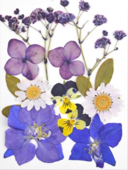 Small Pressed Dried Flowers Natural | Fillings - Resinarthub