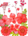 Small Pressed Dried Flowers Natural | Fillings - Resinarthub